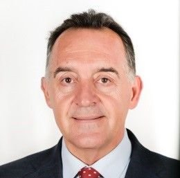 Artemi Rallo Lombarte