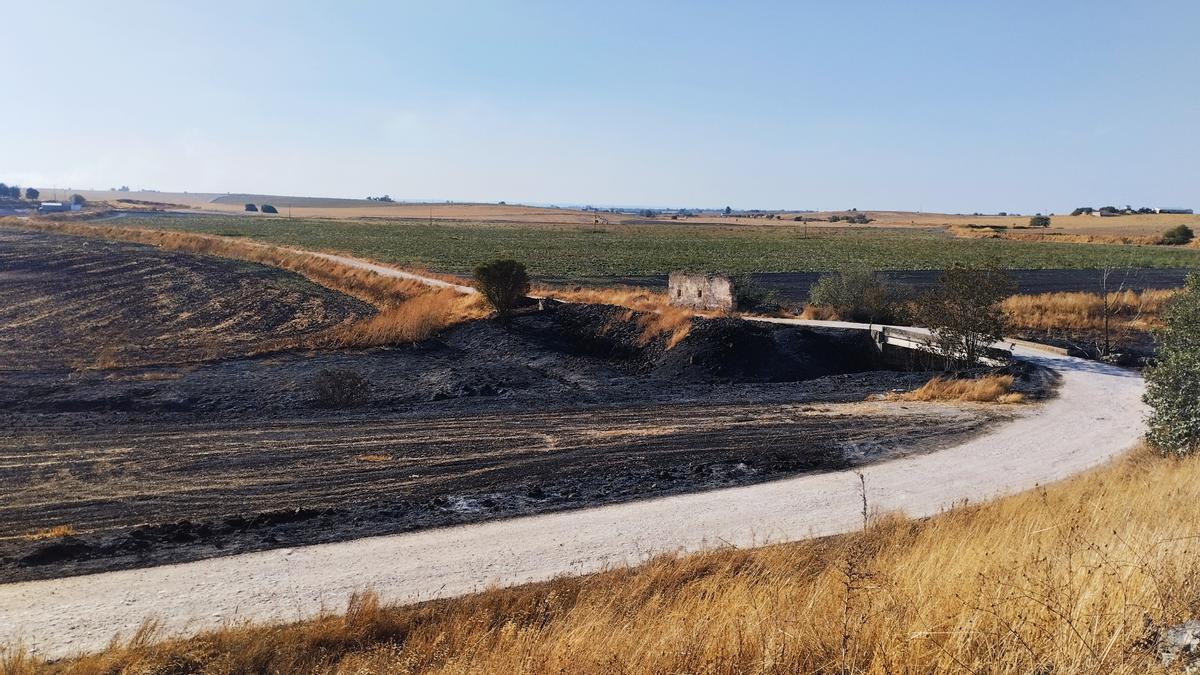 Crónica de un incendio anunciado