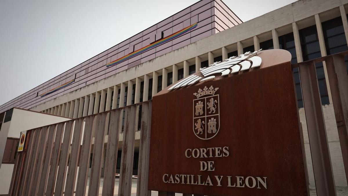 Cortes de Castilla y León.