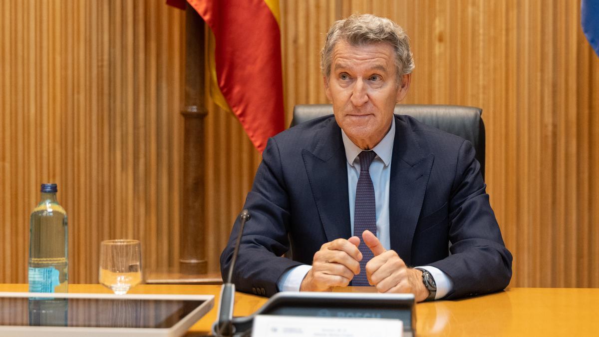 El presidente del Partido Popular, Alberto Núñez Feijóo, durante la reunión plenaria de los Grupos Parlamentarios del Partido Popular del Congreso y del Senado