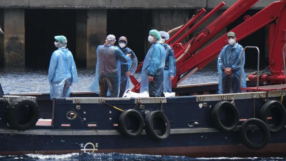 Desembarco en el puerto de Granadilla de Abona de los pasajeros y tripulantes del MV Hondius