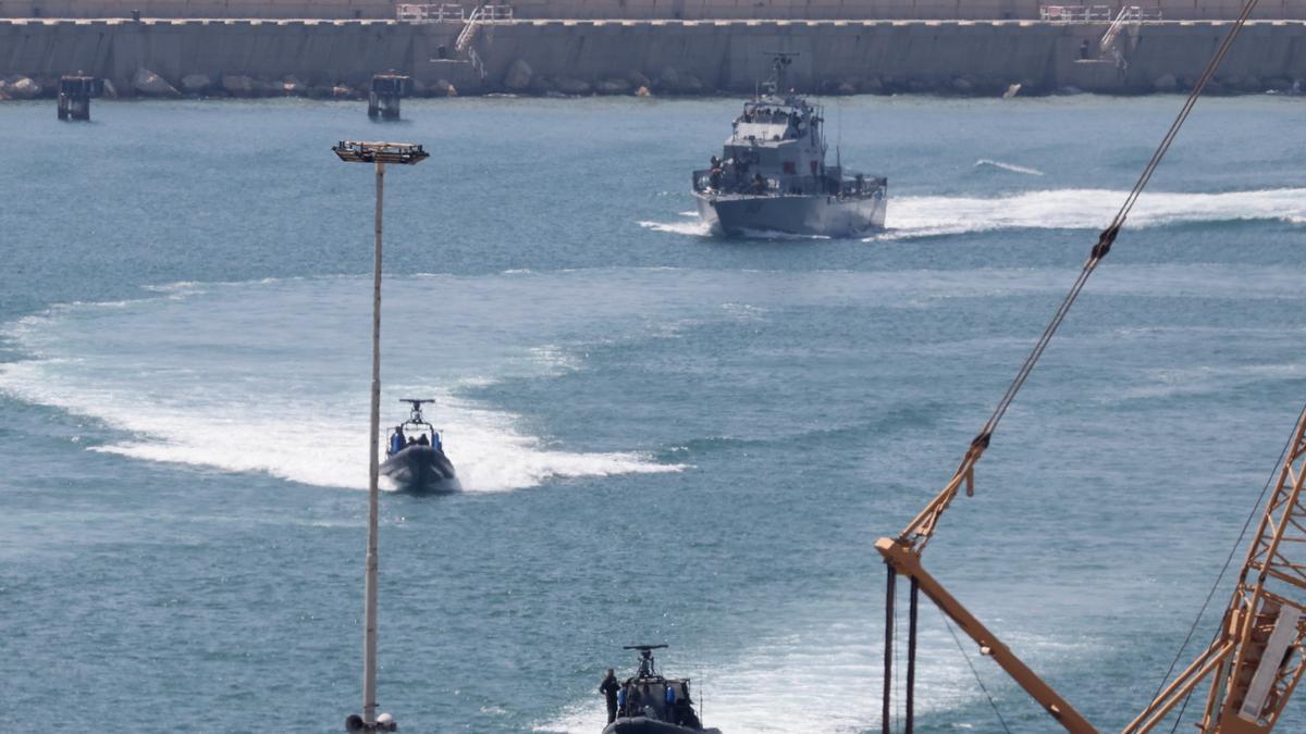 Cuatro de los 12 activistas de la Flotilla de la Libertad aceptan la deportación de Israel