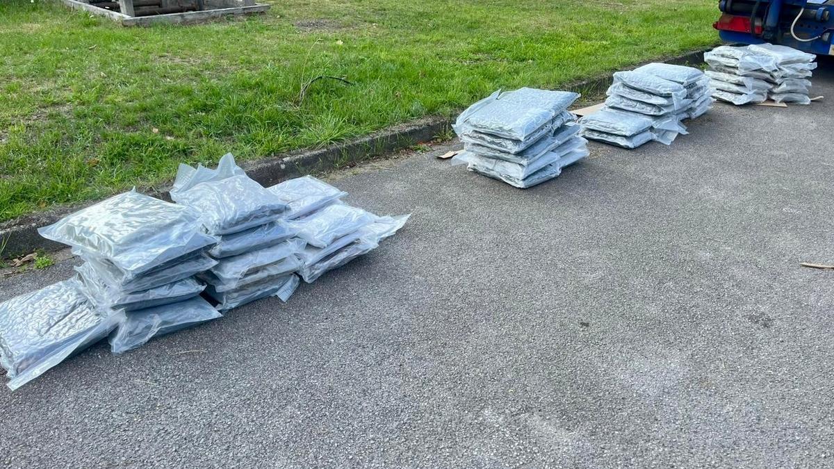 La droga intervenida.