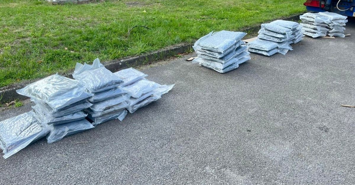 Detenido por intentar pasar a Alemania cincuenta kilos de marihuana camuflados en aceite de oliva español